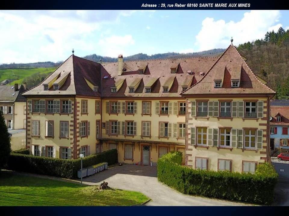 Aux Souvenirs D'Anaelle Gites 5 Personnes Sainte-Marie-aux-Mines Esterno foto