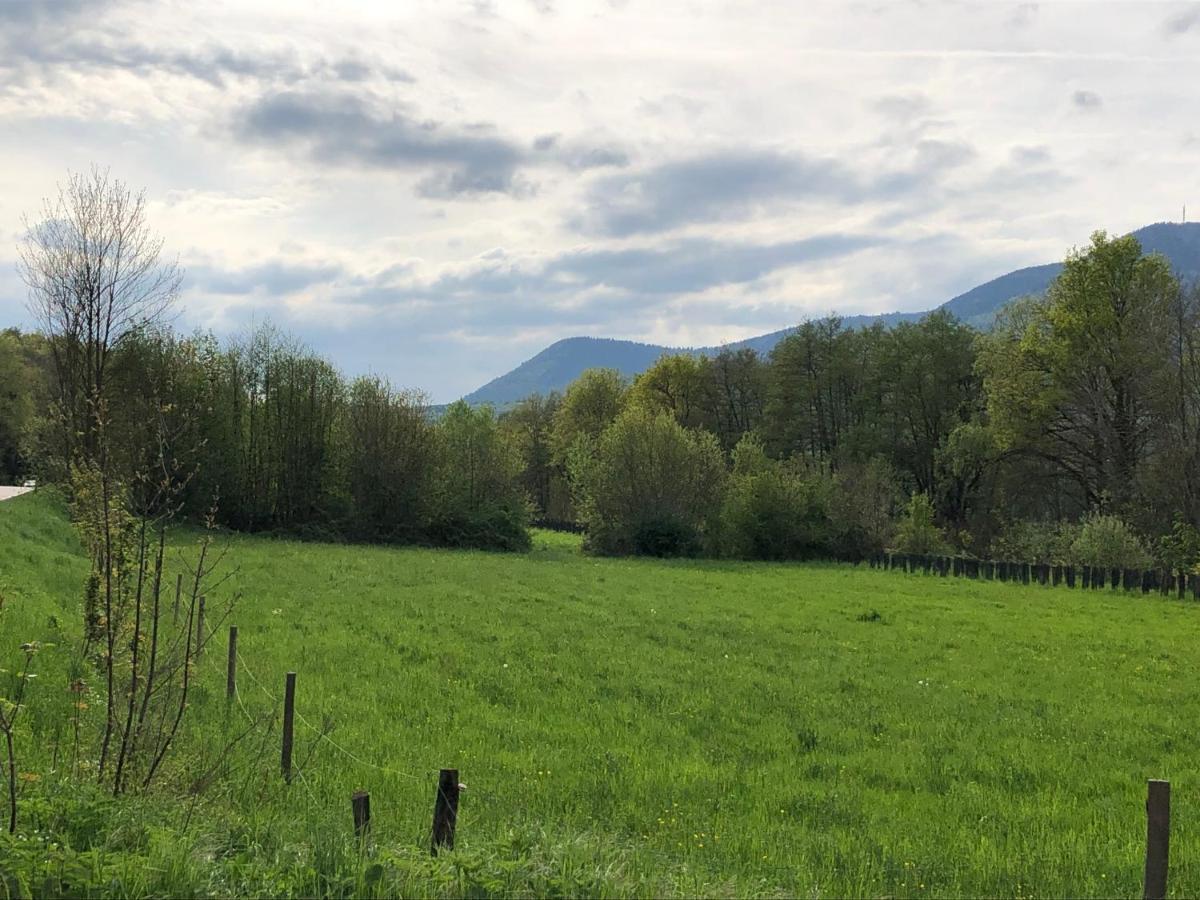 Aux Souvenirs D'Anaelle Gites 5 Personnes Sainte-Marie-aux-Mines Esterno foto