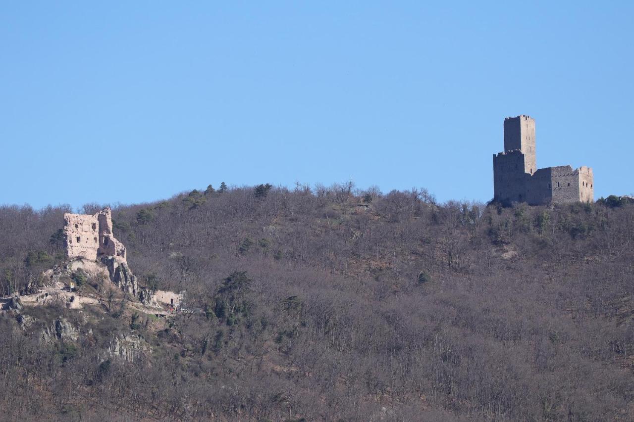 Aux Souvenirs D'Anaelle Gites 5 Personnes Sainte-Marie-aux-Mines Esterno foto