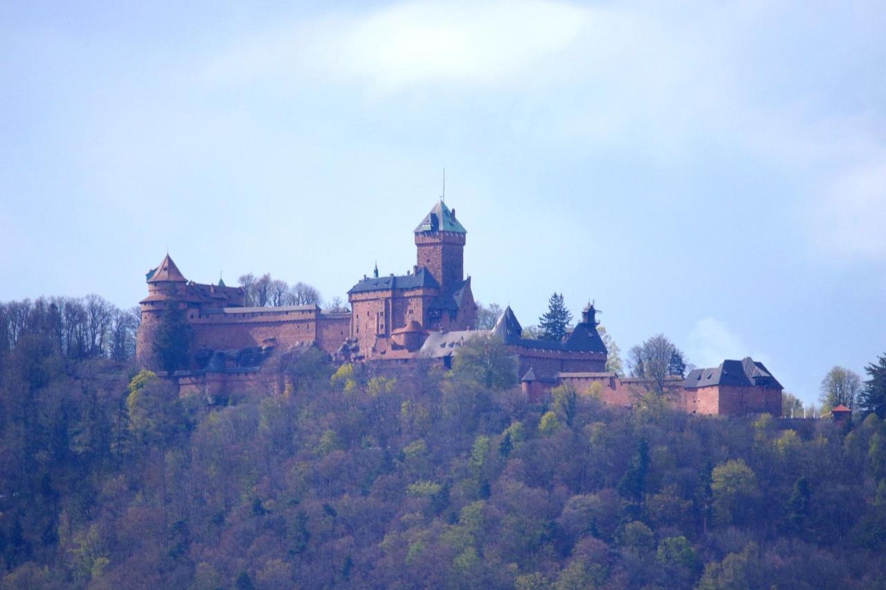 Aux Souvenirs D'Anaelle Gites 5 Personnes Sainte-Marie-aux-Mines Esterno foto
